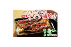 手焼き うなぎ 白焼 約120g × 1本 魚 鰻 海鮮 タレ 蒲焼 ひつまぶし 冷凍 父の日 土用の丑の日 ギフト 国内産 贈り物 お歳暮 老舗 亀一 愛媛県 愛南町