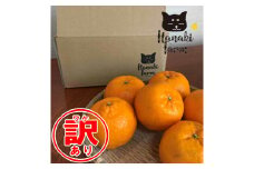 【訳あり】はなきファームのバイオ農法 ポンカン 約20～30個 発送期間：2月末まで