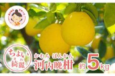 【ちょいキレ】あいなんマザーズの河内晩柑5kg 発送期間:4月上旬～8月上旬 (なくなり次第終了)