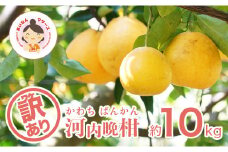 【訳あり】あいなんマザーズの河内晩柑10kg 4月上旬～8月上旬 (なくなり次第終了)