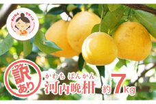 【訳あり】あいなんマザーズの河内晩柑7kg 発送期間:4月初旬～8月上旬 (なくなり次第終了)