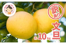 先行予約 訳あり 文旦 10kg （ Lサイズ 以上 ） 10000円 ぶんたん みかん mikan 蜜柑 ミカン 家庭用 産地直送 国産 農家直送 減農薬 糖度 期間限定 数量限定 特産品 ゼリー ジュース アイス 人気 限定 甘い 果実 果肉 フルーツ 果物 柑橘 先行 事前 予約 受付 ビタミン 健康 美味しい おいしい ジューシー サイズ ミックス あいなんマザーズ 愛南町 愛媛県