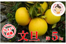 【ちょいキレ】あいなんマザーズの文旦5kg 発送期間：２月中旬～４月上旬