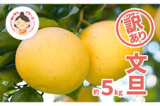 【訳あり】あいなんマザーズの文旦5kg 発送期間：２月中旬～４月上旬