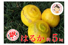 【訳あり】あいなんマザーズのはるか5kg 発送期間：１月中旬～4月上旬