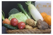 定期便 年3回 道の駅の「旬の野菜セット定期便」 野菜 サラダ 国産 新鮮 フレッシュ 旬 愛南総研（道の駅みしょうＭＩＣ）