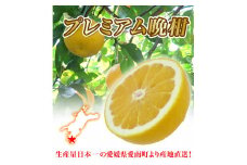 プレミアム 河内晩柑 優品 10kg 20玉～30玉  清家ばんかんビレッジ フルーツ 果物 くだもの 柑橘 和製 グレープフルーツ 愛媛県 愛南町 発送: 2025年3月30日～7月10日 (なくなり次第終了)