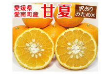 訳あり 木取り 甘夏柑 10kg【発送時期: 3月1日～4月30日】 甘夏 みかん 甘夏柑 柑橘 みかん 夏 柑橘 柑橘 果物 フルーツ 柑橘 ビタミン 健康 美容 愛媛 愛南 清家ばんかんビレッジ