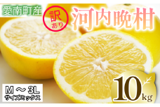 【 2026年 先行予約 】 訳あり 河内晩柑 10kg サイズミックス 家庭用 樹齢 20年 以上 古木 和製 グレープフルーツ 愛南ゴールド 直送  フルーツ 人気 柑橘 爽やか 甘み ジューシー 果汁 旬の果物 くだもの みかん サイズ不揃い 産地直送 農園直送 春 味覚 初夏 デザート ジュース おすすめ 生搾り デザート ゼリー 愛媛県 愛南町 清家ばんかんビレッジ