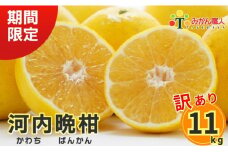 【訳あり】 みかん職人の河内晩柑 11kg (なくなり次第終了) 河内晩柑 果物 柑橘 みかん 愛南ゴールド 蜜柑 グレープフルーツ ゼリー ジュース アイス 果物 フルーツ 健康 美容 ビタミン クエン酸 訳あり サイズミックス 規格外 送料無料 11kg 10000円 武田屋