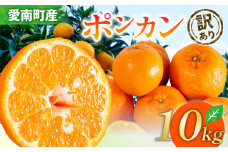 【先行受付】訳あり ポンカン 約10kg【発送時期2月上旬～なくなり次第終了】 ぽんかん みかん 蜜柑 柑橘 冬 清家ばんかんビレッジ 愛媛 愛南