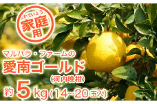 【家庭用】マルハラファーム 河内晩柑 5kg 発送:4月中旬～8月下旬  (なくなり次第終了)