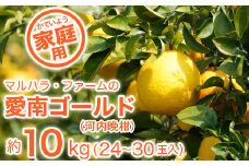 【家庭用】マルハラファーム 河内晩柑 10kg 発送期間: 4月中旬～8月下旬 (なくなり次第終了)