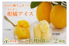 みかん職人が作った柑橘アイス 1000ml×2種（ 河内晩柑 しらぬい ） ギフト 詰め合わせ 不知火 蜜柑 お取り寄せ 贈答品 氷菓 シャーベット ソルベ 美味しい フルーツ 果物 果汁 みかん職人武田屋 愛媛県 愛南町