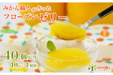 フローズン ゼリー 柑橘 河内晩柑 しらぬい はるか 夢オレンジ 40g 10個 ずつ 4種 ギフト 詰め合わせ 有名 お取り寄せ 贈り物 贈答品 ジュレ アイス 美味しい 愛果28号 愛媛果試第28号 まどんな フルーツ 果汁 ご当地 内祝い 計40個 みかん職人武田屋 愛媛県 愛南町