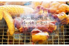ゆらの媛っこ地鶏ＢＢＱセット（約1.5kg）