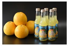 匠バーテンダー家飲みカクテル「愛南ゴールドサワー250ml×５本」