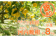 訳あり みかんの山祥 河内晩柑 小玉8kg（Mサイズ）30個前後 みかん 蜜柑 愛南ゴールド 果物 柑橘 フルーツ ゼリー ジュース ビタミン 健康 美容 愛南町 愛媛県