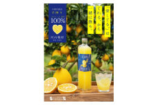 お酒のための極上果汁　河内晩柑ストレートジュース500ml×２本 発送: 2023年3月下旬～