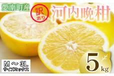【 2026年 先行予約 】 訳あり 河内晩柑 5kg サイズミックス お試し 家庭用 樹齢 20年 以上 古木 和製 グレープフルーツ 愛南ゴールド 直送 フルーツ 人気 柑橘 爽やか 甘み ジューシー 果汁 旬の果物 くだもの みかん サイズ不揃い 産地直送 農園直送 春 味覚 初夏 デザート ジュース おすすめ 生搾り デザート ゼリー 愛媛県 愛南町 清家ばんかんビレッジ
