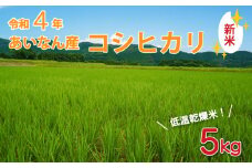 こだわりの低温乾燥米　令和4年愛南町産　コシヒカリ５kg
