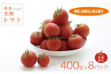 岸本くんの完熟トマト 約3.2kg ( 400g×８パック )  野菜 産地 直送 人気 国産 愛媛県 愛南町 発送期間：2月1日～6月20日	