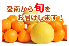清家ばんかんビレッジの旬の柑橘詰め合わせ5kg まどんな みかん 蜜柑 ぽんかん はれひめ レモン 檸檬 伊予柑 いよかん 文旦 ぶんたん 不知火 しらぬい デコポン せとか 紅まどんな オレンジ 河内晩柑 なつみ 柑橘 果物 フルーツ  果物 フルーツ グルメ 柑橘  旬 プレゼント ギフト 発送期間: 2023年11月25日～2024年4月30日