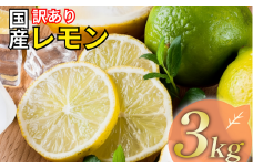 レモン 訳あり 3kg 7000円 送料無料 愛媛 国産 柑橘 フルーツ 産地直送 皮ごと 皮まで食べられる ノーワックス 防腐剤不使用 減農薬 安心 安全 グリーンレモン イエローレモン マイヤーレモン アレンユーレカ りのか 家庭用 B級品 サイズ 不揃い スムージー ジュース レモンサワー 酎ハイ 料理 お菓子作り 旬 の 果物 清家ばんかんビレッジ