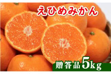 【先行受付】贈答品 愛媛みかん 5kg (傷み保証250g) 発送期間 2025年11月上旬以降 みかん 愛媛みかん 温州みかん 南柑20号 柑橘 蜜柑 かんきつ 冬 秋 旬 正月 愛媛 愛媛県 愛南町 お歳暮 プレゼント くだもの 果物 フルーツ スイーツ おやつ お菓子 和菓子 甘い 糖度 オレンジ 冷凍 みかん ジュース 清家ばんかんビレッジ