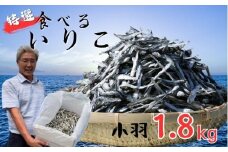 特選海の幸自然の味 小羽 いりこ（煮干し）1.8kg 大島海産