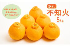 先行予約 訳あり 減農薬 不知火 5kg 10000円 サイズミックス サイズ混合 不揃い 柑橘 かんきつ 蜜柑 愛媛 みかん 温州 みかん しらぬい 清見 オレンジ ポンカン デコポン mikan 国産 こくさん 果物 くだもの フルーツ デザート ジュース 果実 甘い ジューシー おいしい 濃厚 産地 直送 産直 特産品 愛媛県 愛南町 愛南フルーツ 発送期間：2025年3月中旬～4月中旬
