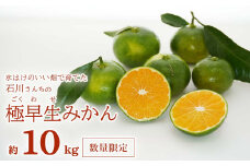 【家庭用】水はけのいい畑で育てた 石川さんちの愛媛みかん （ 極早生 ） 10kg みかん ミカン 蜜柑 柑橘 フルーツ 果物 温州  国産 ミックス 不揃い 傷 ビタミン 美味しい 愛媛県 愛南町