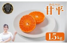 先行予約 数量限定 訳あり甘平 1.5kg サイズミックス  約7玉  みかん 蜜柑 柑橘 果物 フルーツ 高級 人気 糖度 ビタミン 健康 美容 ブランド 国産 減農薬  除草剤不使用 有機肥料使用  愛媛県 愛南町  吉本農園 送料無料 発送期間:2月～なくなり次第
