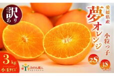 【訳あり】みかん職人の夢オレンジ 小粒っ子 3kg 先行予約 柑橘 果物 フルーツ 愛媛 みかん職人武田屋 蜜柑 愛果28号 愛媛果試第28号 まどんな 小玉 蜜柑 糖度 センサー 計測 規準 甘い 甘さ みかん かんきつ らんきんぐ 柑橘 冬 旬 食べごろ 農家 農家直送 農園 人気 みかん職人 武田屋 産直 みかん職人武田屋 愛媛県 愛南町