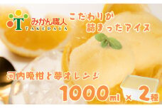 柑橘アイス 計2L(1個1L 2種)【 夢オレンジ 河内晩柑 】 少量 お試し 冷凍 みかん 旬 農家直送 特産品 さっぱり 大人 アイス ジェラート シャーベット ソルベ アイスクリーム ランキング 人気 業務量 業務用 訳あり ワケアリ 家庭用 みかん 柑橘 かんきつ まどんな 愛果28号 愛南ゴールド 不知火 デコポン ぽんかん 冷凍 冷凍みかん 冬 夏 みかん職人武田屋 愛媛県 愛南町