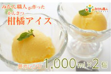 柑橘アイス 計2L (1個1L)【夢オレンジ】 少量 お試し 冷凍 みかん 旬 農家直送 特産品 さっぱり 大人 旨味 アイス ジェラート シャーベット ソルベ アイスクリーム ランキング 人気 業務量 業務用 訳あり ワケアリ 家庭用 みかん 柑橘 かんきつ まどんな 愛果28号 愛南ゴールド 不知火 デコポン ぽんかん 冷凍 冷凍みかん 冬 夏 みかん職人武田屋 愛媛県 愛南町