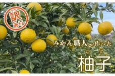 【訳あり品】みかん職人の柚子（ゆず）8kg