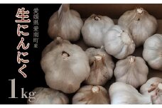 石川ファームの愛南町産にんにく 1kg 発送期間：5月20日～11月30日