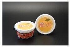 道の駅オリジナル「愛南ゴールドアイスクリーム」8個 アイス アイスクリーム シャーベット デザート スイーツ お菓子 食品 冷凍 みかん 蜜柑 柑橘 河内晩柑 