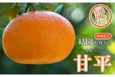 先行予約 訳あり 結園の甘平4kg みかん 蜜柑 甘平 柑橘 果物 フルーツ ポンカン まどんな せとか 高級 ブランド 糖度 甘い ゼリー ジュース アイス 国産 人気 愛媛 愛南町 結園 発送:2024年2月中旬～3月初旬