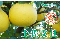  【訳あり】くらもとファームの土佐文旦5kg