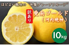 先行予約 訳あり 減農薬 河内晩柑 10kg 愛南フルーツ サイズミックス サイズ混合 不揃い 柑橘 蜜柑 愛南ゴールド 和製 グレープフルーツ 産地 産直 発送期間: 2024年4月20日～5月31日 (なくなり次第終了)