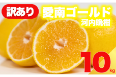 【 先行予約 】 訳あり 減農薬 愛南ゴールド 河内晩柑 10kg サイズ ミックス 家庭用 産直 農家直送 和製 グレープフルーツ 家庭用 甘い 爽やか 瑞々しい ジューシー 濃厚 旨味 酸味 旬 初夏 柑橘 みかん 蜜柑 不揃い サイズ混合 ジュース ゼリー ジャム マーマレード デザート 焼酎割り サワー 先行予約 予約受付 期間限定 数量限定 愛媛県 愛南町 愛南フルーツ
