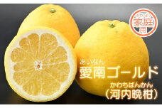 【家庭用】愛南フルーツの愛南ゴールド（河内晩柑）10kg (なくなり次第終了)