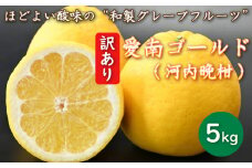 先行予約 訳あり 減農薬 河内晩柑 5kg 愛南フルーツ サイズミックス サイズ混合 不揃い 柑橘 蜜柑 愛南ゴールド 和製 グレープフルーツ 産地 産直 発送期間: 2024年4月20日～5月31日 (なくなり次第終了)