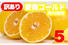 【 先行予約 】 訳あり 減農薬 愛南ゴールド 河内晩柑 5kg サイズ ミックス 家庭用 産直 農家直送 和製 グレープフルーツ 家庭用 甘い 爽やか 瑞々しい ジューシー 濃厚 旨味 酸味 旬 初夏 柑橘 みかん 蜜柑 不揃い サイズ混合 フレッシュジュース ジュース ゼリー ジャム マーマレード デザート 焼酎割り サワー 先行予約 予約受付 期間限定 数量限定 愛媛県 愛南町 愛南フルーツ