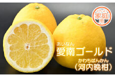 【家庭用】愛南フルーツの愛南ゴールド（河内晩柑）5kg (なくなり次第終了)