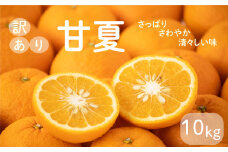 先行予約 訳あり 減農薬 甘夏 10kg 7000円 サイズミックス サイズ混合 不揃い 柑橘 かんきつ 蜜柑 愛媛 みかん 温州 みかん あまなつ 国産 こくさん mikan 果物 くだもの フルーツ デザート ジュース 果実 果肉 果汁 甘い ジューシー おいしい 濃厚 産地 直送 産直 特産品 河内晩柑 愛媛県 愛南町 愛南フルーツ 発送期間：2025年2月中旬～4月中旬