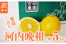 数量限定 先行予約 訳あり 河内晩柑 5kg 7000円 みかん わけあり かわちばんかん 愛南ゴールド あいなん ゴールド 夏 文旦 和製 グレープフルーツ 家庭用 産地直送 国産 農家直送 期間限定 数量限定 ビタミン 健康 おいしい 特産品 ゼリー ジュース アイス 等に 人気 限定 さわやか 甘い フルーツ 果物 柑橘 mikan 蜜柑 ミカン 規格外 吉田農園 愛南町 愛媛県
