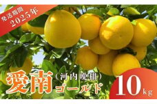 先行予約 2025年発送 愛南ゴールド（河内晩柑）約10kg みかん 蜜柑 河内晩柑 グレープフルーツ 柑橘 果物 フルーツ 前田ファーム 愛媛 愛南【発送期間 3月下旬～5月上旬 】(なくなり次第終了)
